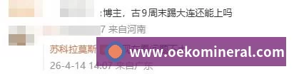 未来规划