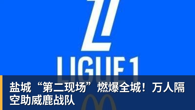 FB体育盐城“第二现场”燃爆全城！万人隔空助威鹿战队