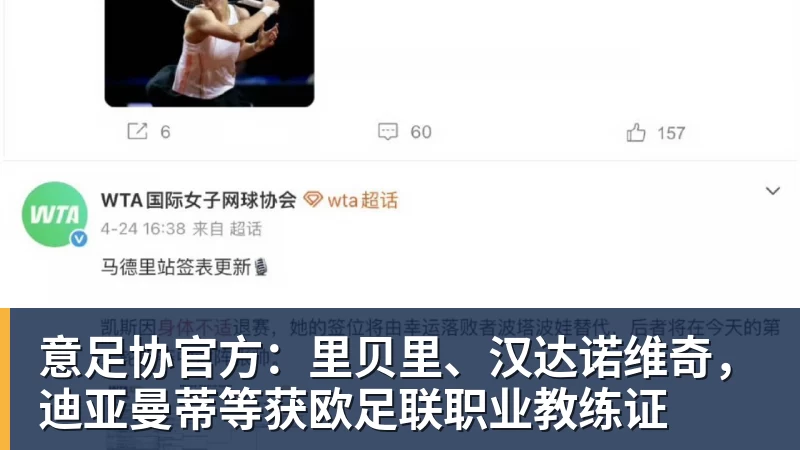 FB体育意足协官方：里贝里、汉达诺维奇，迪亚曼蒂等获欧足联职业教练证